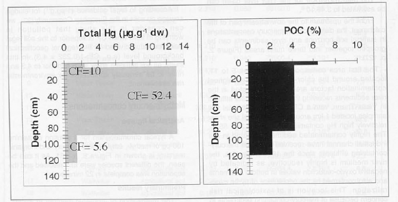 Figure 3. Distribution of total Hg and particulate organic carbon (POC) contents in the different horizons of an agricultural soil profile (Wattwiller, site 17, see Figure 2, p. 127)Distribution des concentrations en Hg total et en carbone organique particulaire (COP) dans les différents horizons d'un profil de sol agricole (Wattwiller, site n° 17, voir Figure 2,p. 127).