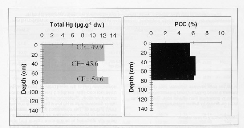 Figure 4. Distribution of total Hg, POC contents and FC in the different horizons of an alluvial soil profile located upstream of the industrial site of Vieux-Thann (Bitchwiller·lès-Thann, site 3, see Figure 2, p. 127).Distribution des concentrations en Hg total, COP et FC dans les différents horizons d'un profil de sol alluvial localisé en amont du site industriel de Vieux-Thann (Bitchwiller-lès-Thann ,site n° 3, voir Figure 2,p. 127).